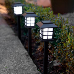 Landscape Lighting