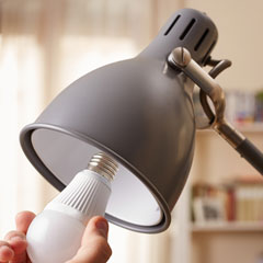 LED Light Bulbs